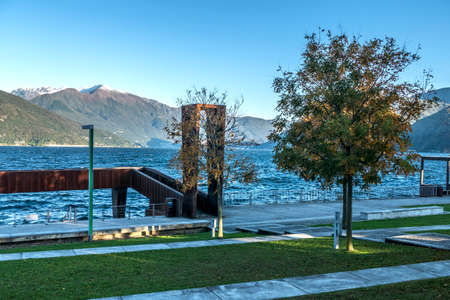 Foliage in the park near the Lake Maggiore in Luino.の写真素材
