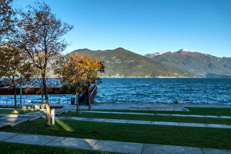 Foliage in the park near the Lake Maggiore in Luino.の写真素材