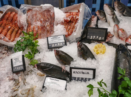 fish with ice in a market with shrimp, amberjack and sea bassの写真素材
