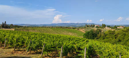 Extra wide view of the Tuscan hills with Siena in the backgroundの写真素材