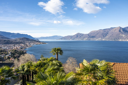 Aerial view of Luino and the Lake Maggioreの写真素材