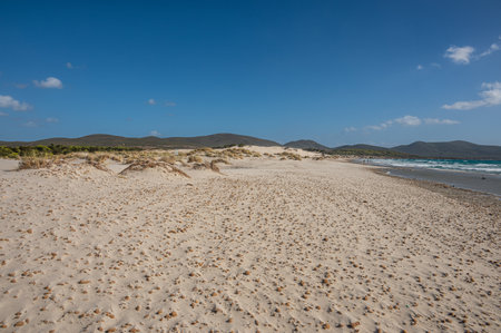 The beautiful beach of Is Solinas in Sardinia with its high white dunes on a windy dayの写真素材