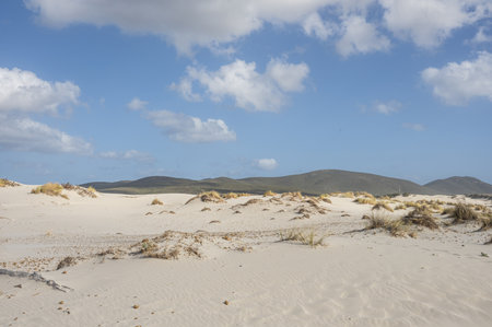The beautiful dunes of Is Solinas in Sardinia on a windy dayの写真素材