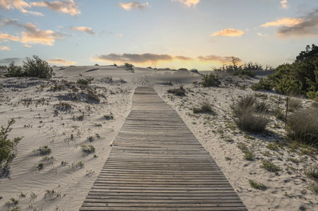 The beautiful beach of Is Solinas in Sardinia with its high white dunes on a windy dayの写真素材
