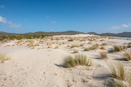 The beautiful beach of Is Solinas in Sardinia with its high white dunes on a windy dayの写真素材