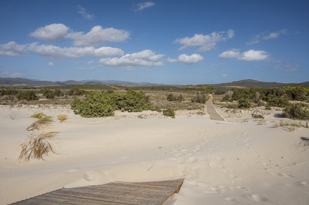 The beautiful beach of Is Solinas in Sardinia with its high white dunes on a windy dayの写真素材