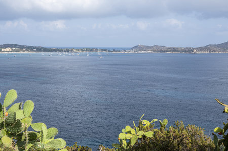 Aerial view of the beautiful peninsula of Villasimius with prickly pears in the foreground