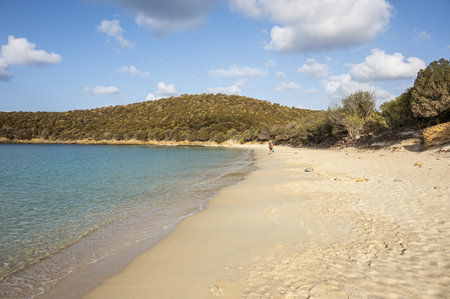 Aerial view of Tuerredda bay with the beach of fine sand and transparent blue and turquoise waterの写真素材