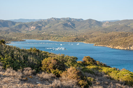Aerial view of the Malfatano Gulf in the south of Sardinia with blue and turquoise waterの写真素材