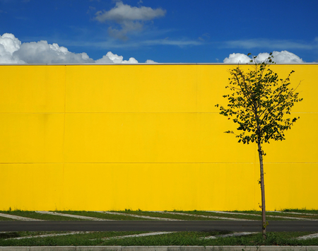 Urban background. Blue sky with clouds over a bright yellow wall and a single tree near a concrete road.の写真素材