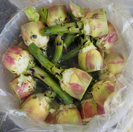Baby artichokes freshly harvested and stored in water to preserve freshness.の写真素材