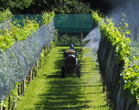A farmer with protective suit, on an agricultural vehicle, chemical sprays pest control on the vineyardsの写真素材