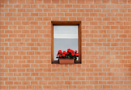 Brick wall facade. A red geranium flower pot.の写真素材