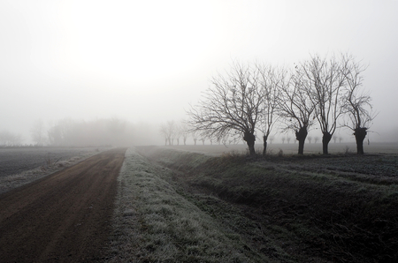 Winter misty morning in the middle of Italyの写真素材