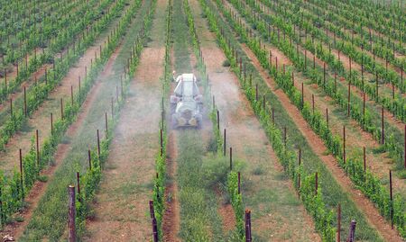 Tractor with agricultural sprayer machine sprinkls chemical pesticides on the vineyards. Back side, aerial viewの写真素材