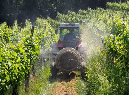 A sprayer machine, trailed by tractor, sprinkles pesticides among the rows of vineyards in summer. Back viewの写真素材
