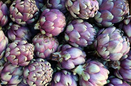 Purple artichoke heads. Food background and textureの写真素材