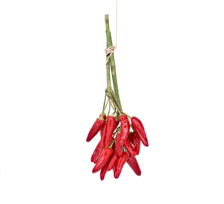 Bunch of red chili peppers hanging from a rope. White background.の写真素材