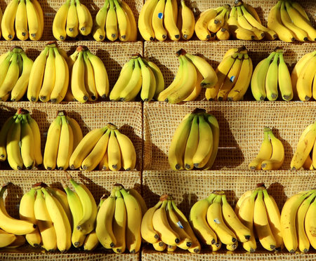 Bananas on a display shelf in a fruit and vegetable storeの写真素材