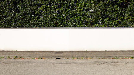 White enclosure wall with metal strip on top. Green leaves hedge above, a porphyry sidewalk and asphalt road in front. Background for copy spaceの写真素材