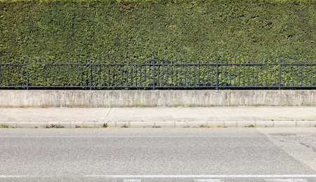 House fence consisting of a high hedge, a black metal railing and a low concrete wall. Cement sidewalk and asphalt street in front. Background for copy spaceの写真素材
