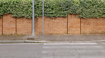 Brick wall with jasmine in bloom on the top. Sidewalk and asphalt road in front. Background for copy spaceの写真素材