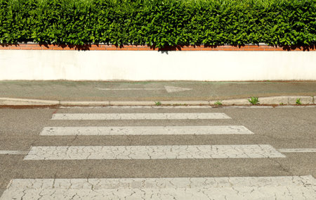 House fence consisting of a low white wall with row of bricks and a hedge above. Sidewalk, street and crosswalk in front. Background for copy spaceの写真素材
