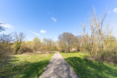 Landscape, park with forest in which to walk and relax