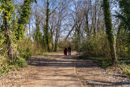 Landscape, park with forest in which to walk and relax