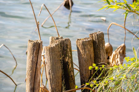 Hitch for boats on the river near the lakeの写真素材