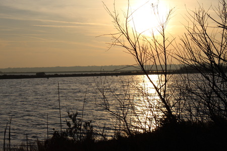 Sunsetの写真素材