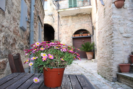 simple vase of flowers on the table in the streets of the ancient village of Spelloの写真素材