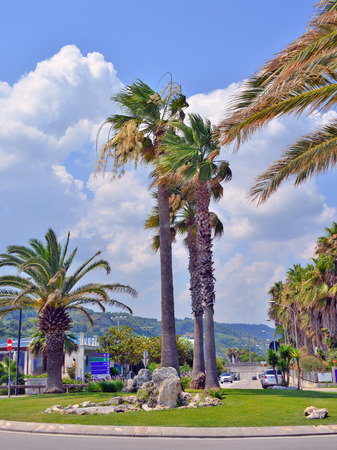 panoramic view of some corners of the Marche region in Italyの写真素材