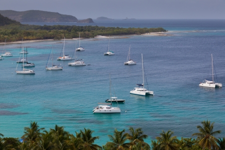 Yachts and boat near palm beach  Azure water  Fragment of palm trees  Caribbean island の写真素材