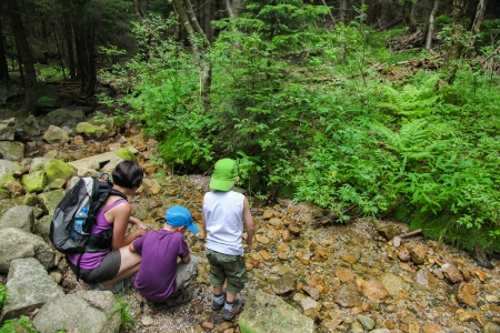 Mother and two small boys in wood near a brook の写真素材