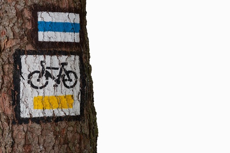 Bike trail sign on the tree. White separated. Free space. Close-up.