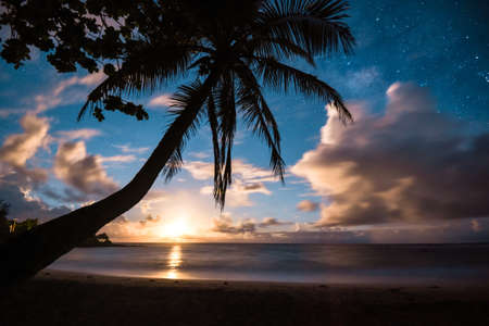 Beautiful Tropical Island Paradise Scenic View with Milky Way and Starry Night Sky with Palm Tree Silhouette and Moon Rising Over Horizon Through Clouds Above Colorful Ocean Mauiの写真素材