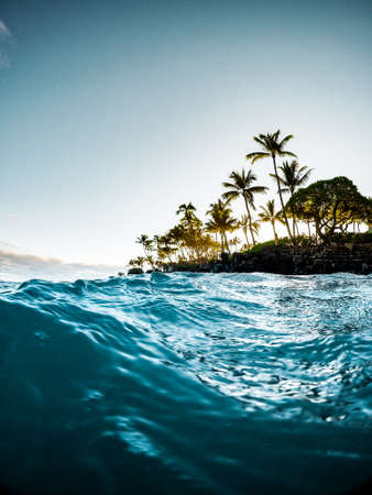 Tropical Island Paradise with Clear Blue Sky and Aqua Ocean Water with Sunshine Through Palm Trees in Maui Hawaiiの写真素材