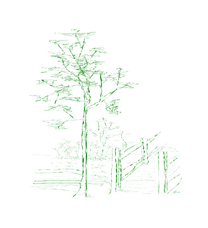 Tree near wooden bridge over the riverのイラスト素材