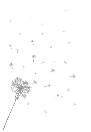 Dandelion background のイラスト素材