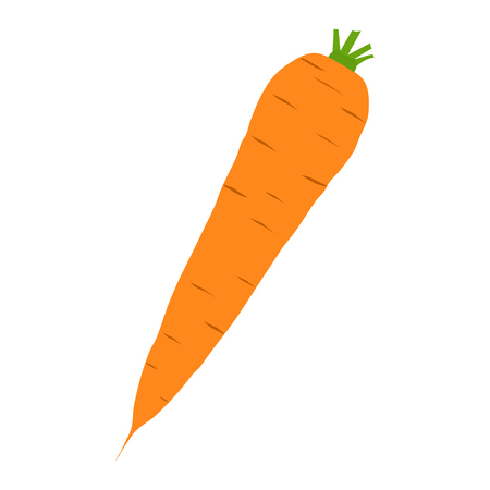 Vector illustration of carrotのイラスト素材