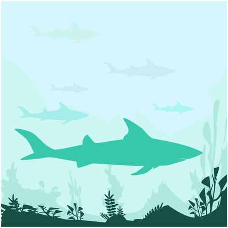 Shark vector silhouette, danger fish, danger on the beachのイラスト素材