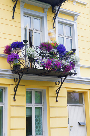 Flowers on the balconyのeditorial素材