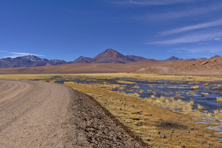 Dirt road in the desert next to lush pond full of vegetation and near huge volcanoes.の写真素材