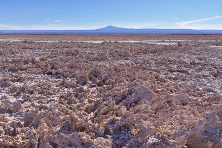 Salt formations, Salar de Atacama.の写真素材