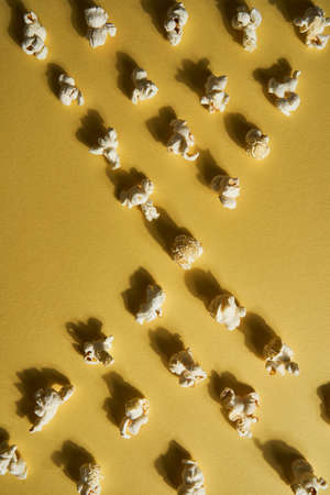 Popcorn on a yellow background.Copy space. Pop corn collection. Different sizes of popcorn lined up in a rawの写真素材