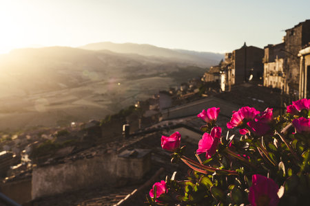 Pink flowers at sunset overlooking an Italian hilltop villageの写真素材