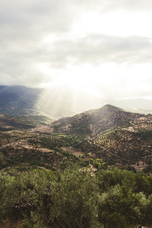 Scenic Mediterranean mountain valley with olive trees and villageの写真素材
