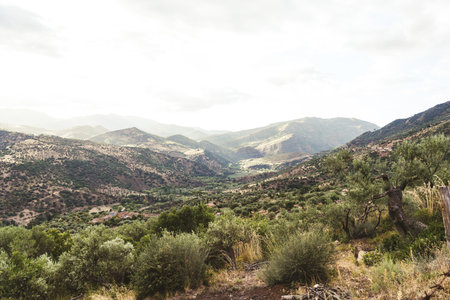 Scenic Mediterranean mountain valley with olive trees and villageの写真素材