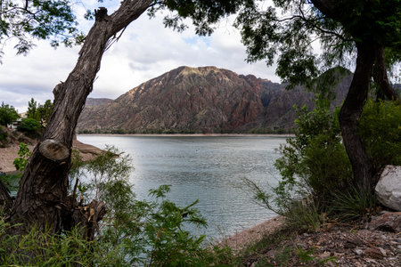 Mountain lake framed by trees and vegetation